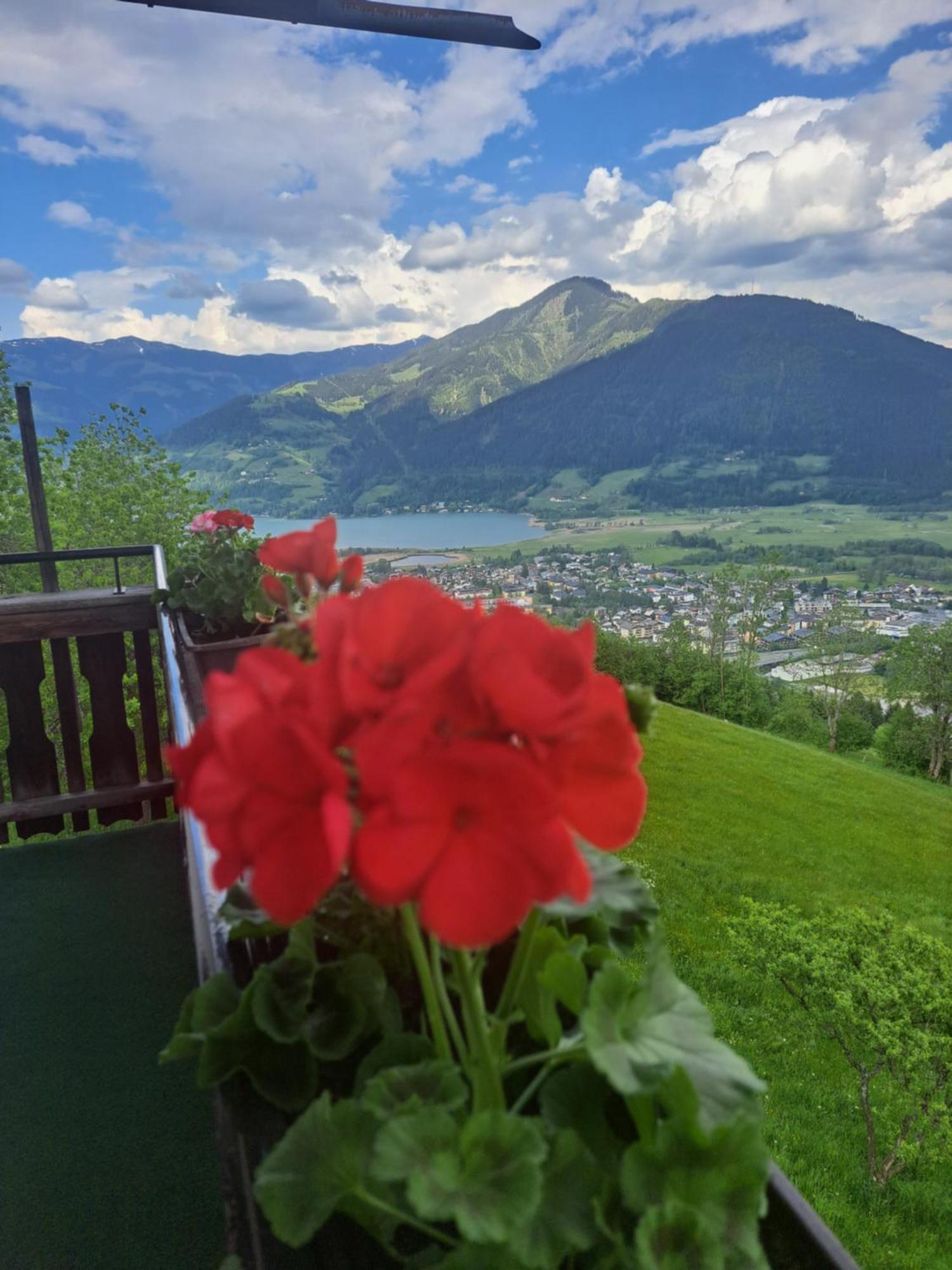 Areithof Lägenhet Zell am See Exteriör bild