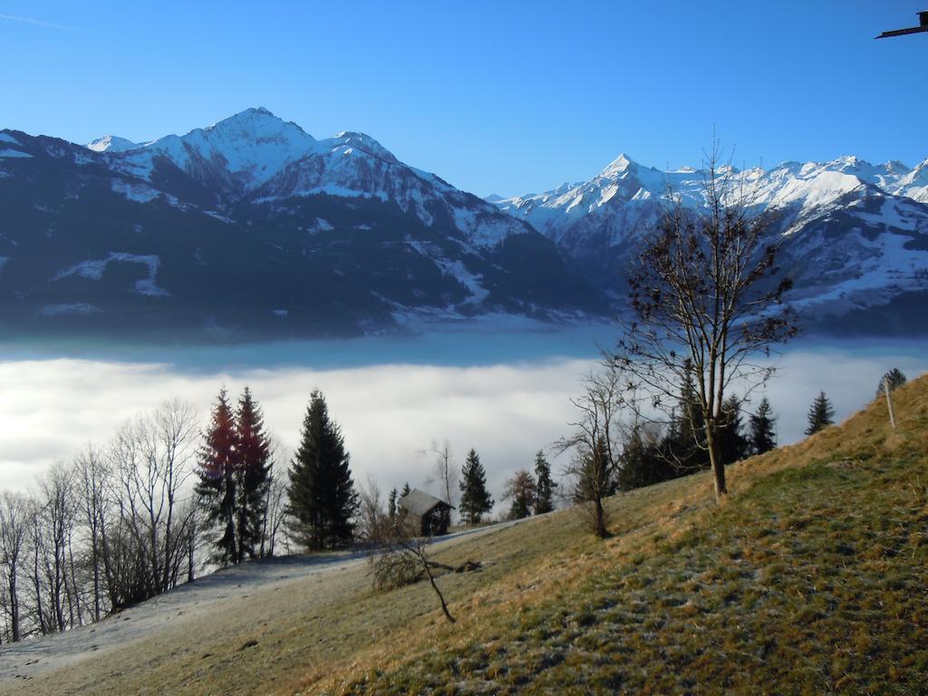 Areithof Lägenhet Zell am See Exteriör bild