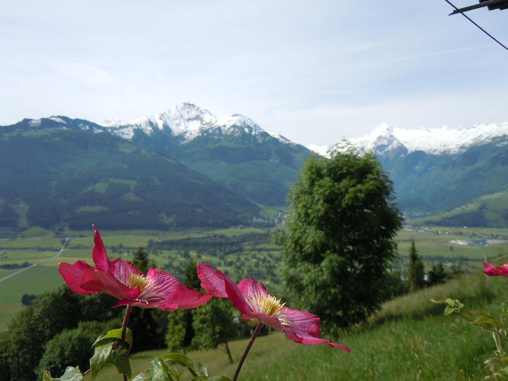 Areithof Lägenhet Zell am See Rum bild